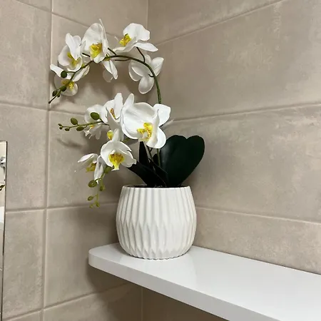 Harmonie - Modern Near Center With Free Private Parking Apartment *