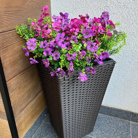 Harmonie - Modern Near Center With Free Private Parking